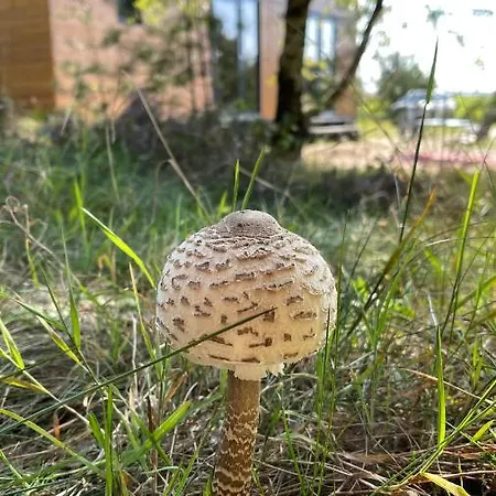 Kaszubskie Pole *